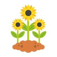 The Secret Garden - Book