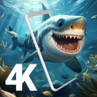 Live Wallpapers, 4K Wallpaper