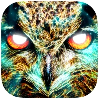 Shamanic Oracle Cards