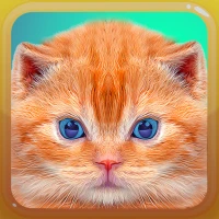 Cat and Kitten Meow Sounds