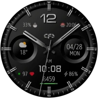 CFS121 Classic watch face