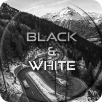 Black and White Wallpapers