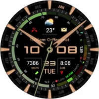 WFP 322 Hybrid Watch Face