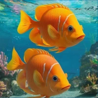 3D Fish Tank Live Wallpaper