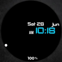 Digital Watch Face CRC080