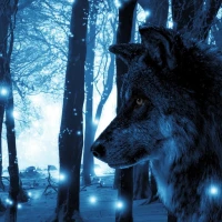 3D Wolf Theme Blue Lightning N