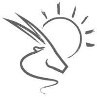 Pocket Guide Namibia