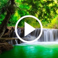 Waterfall Live Wallpaper RDT