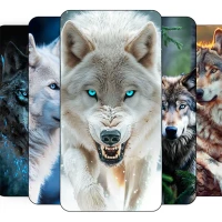 Wolf Wallpaper HD: Backgrounds