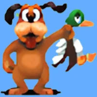 duck hunt