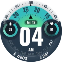 Trek Signal Watch Face