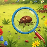 Bug Hunt: Find Insects
