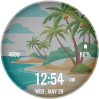 Nature Landscape WatchFace