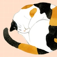 Cat Naps Theme +HOME