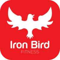 Iron Bird Fit