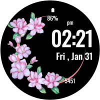 Pastel Blossom Watch Face