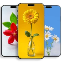 Aesthetic Flower Wallpapers hd