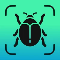Insect Identifier - Insectium