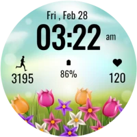 Flower Steps Watch Face