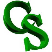 CSEntry CSPro Data Entry