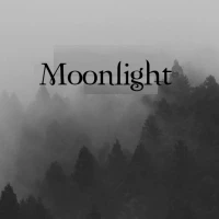Moonlight Vampire Quiz
