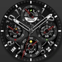 WFP 344 Elegant watch face