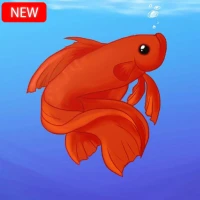 Betta Fish Wallpapers HD