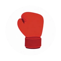 Boxing Combo Timer & Coach