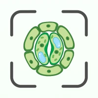 Biology AI: Homework Helper