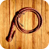 Whip Simulator - Pocket Whip