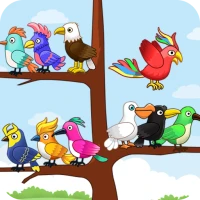 Bird Sort: Color Birds Sort