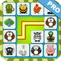 Onet Connect Pro