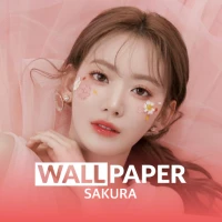 SAKURA HD Wallpaper