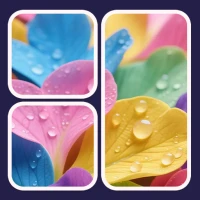 Jigsaw Puzzle World Tour