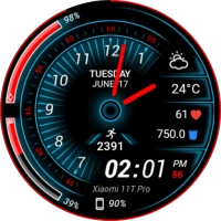 Torque Watch Face