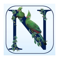 Newman's Birds Southern Africa