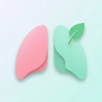 No Smoke: Quit Smoking Today