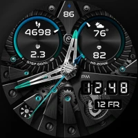 PER005 Hybrit Watch Face
