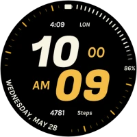 Embassy 4: Sporty Watch Face