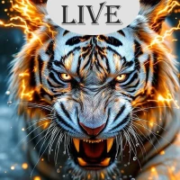 Tiger Roaring Live Wallpaper