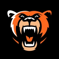 Grizzlys Wolfsburg VIP