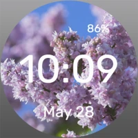 Bunch of Flowers - Watch Face