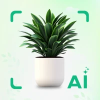 Plant Identifier - Plant Care