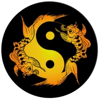 Acupuncture Assistant