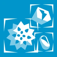Particle Sense