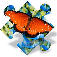 Butterfly Jigsaw Puzzles free