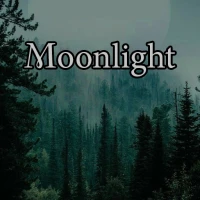 Moonlight Vampire Puzzles