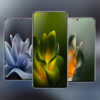 Moto Edge 70 Wallpapers