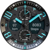 WB Military Analog Watch Face