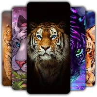 Tiger Wallpaper